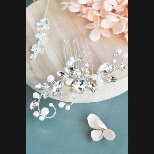 HC2260-theme-web.jpg